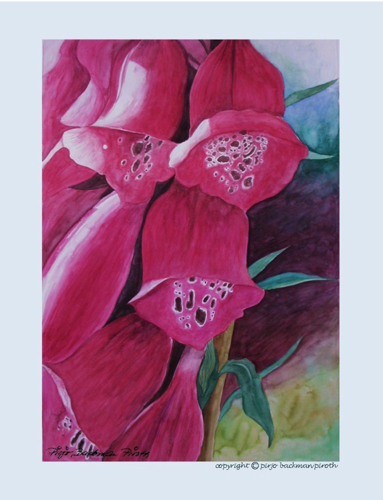 Digitalis - Pirjo Backman Piroth