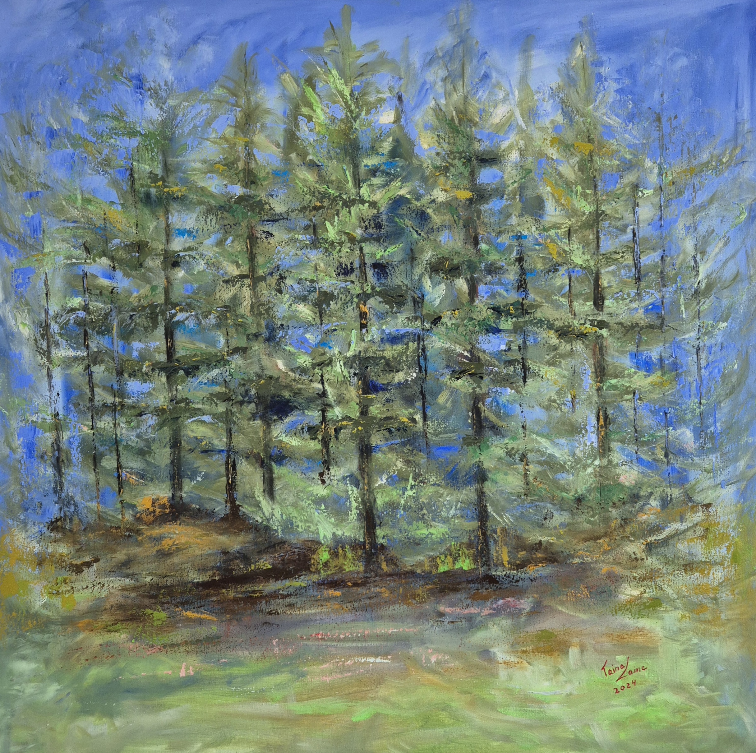 Barrskog - Taina Laine