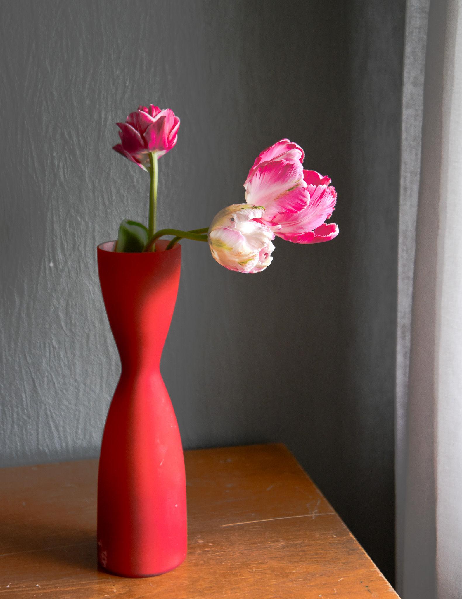 Blommor i den röda vasen - Erja-Riitta Salonen