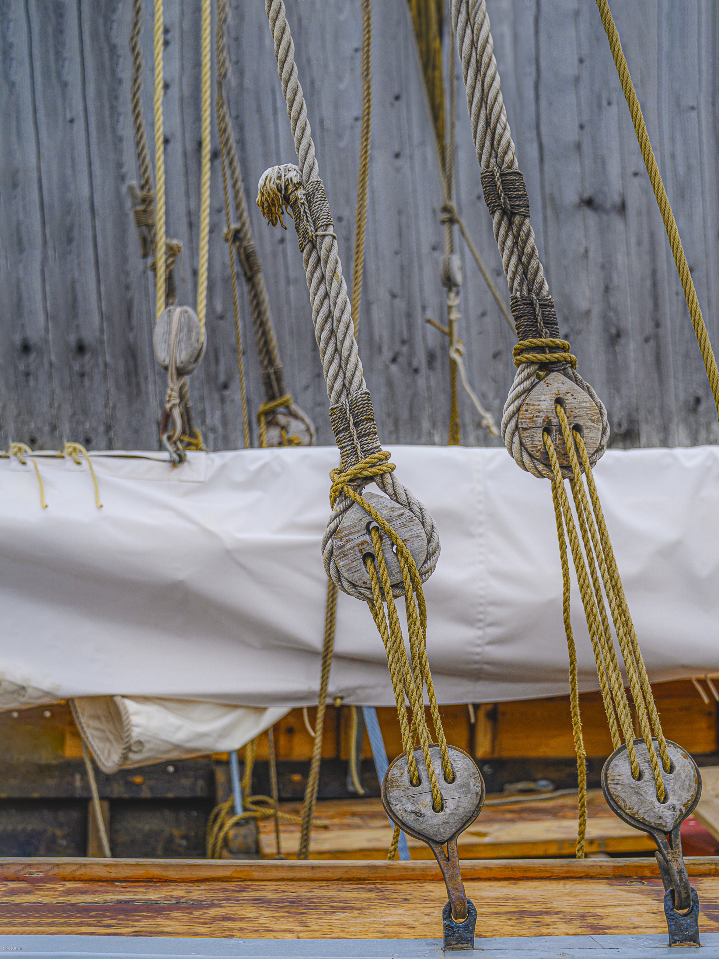 Repen - Sisko Soikkeli