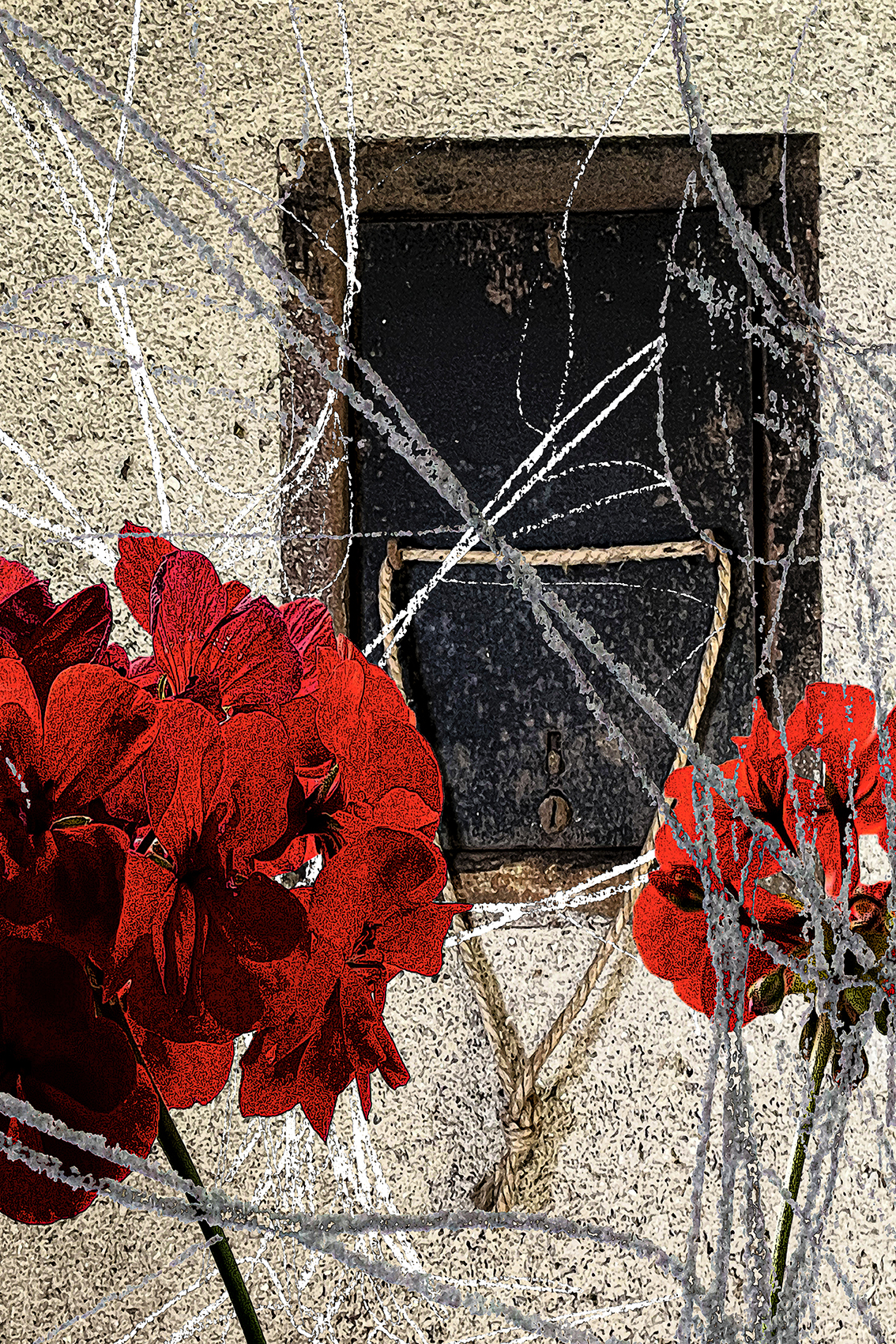 The Geranium Riddle - Tiina Rantanen