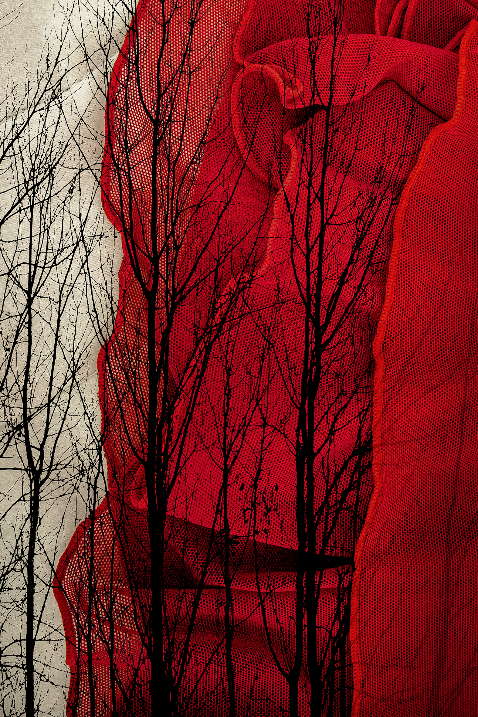 Undressing of the trees - Tiina Rantanen