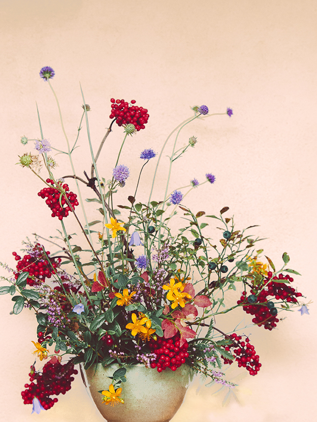 Druvfläder - Nina Sinkkonen